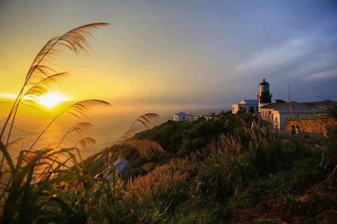 1629525989971750.jpg 7371629525914_.pic.jpg